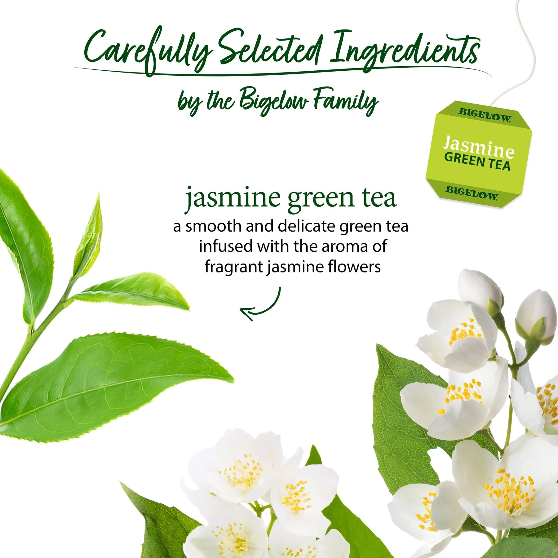 Bigelow Jasmine Green Tea Bags