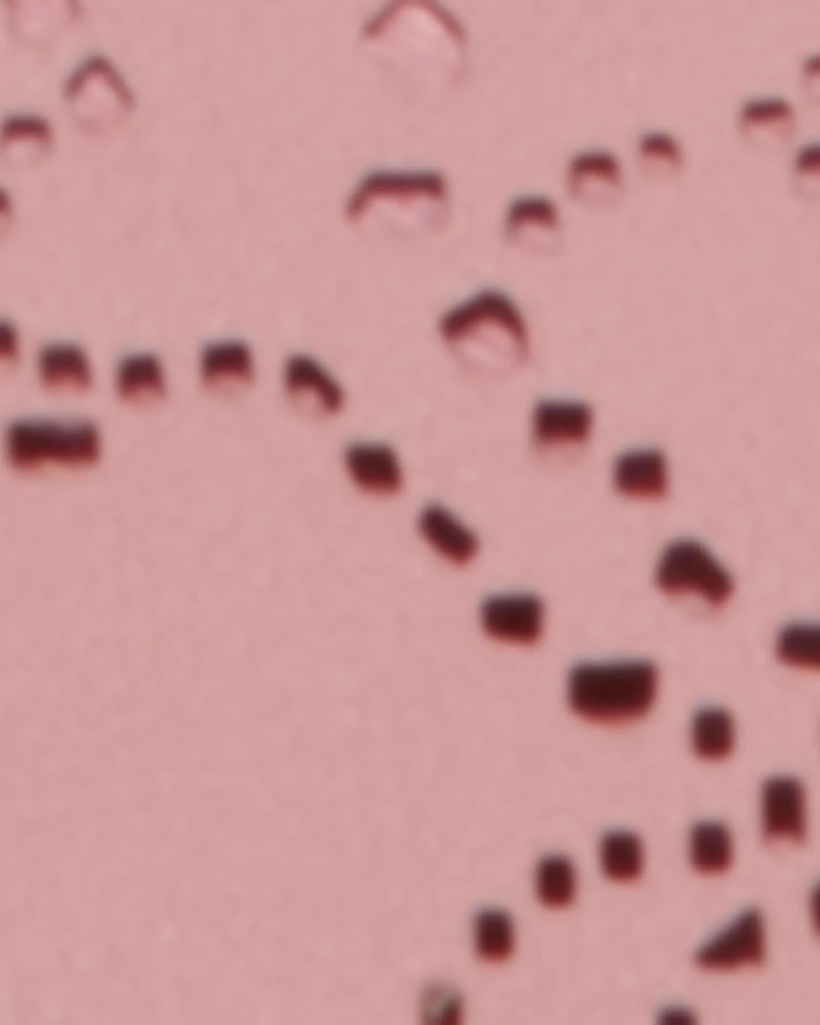 Carrie Perforated Clutch | Pink