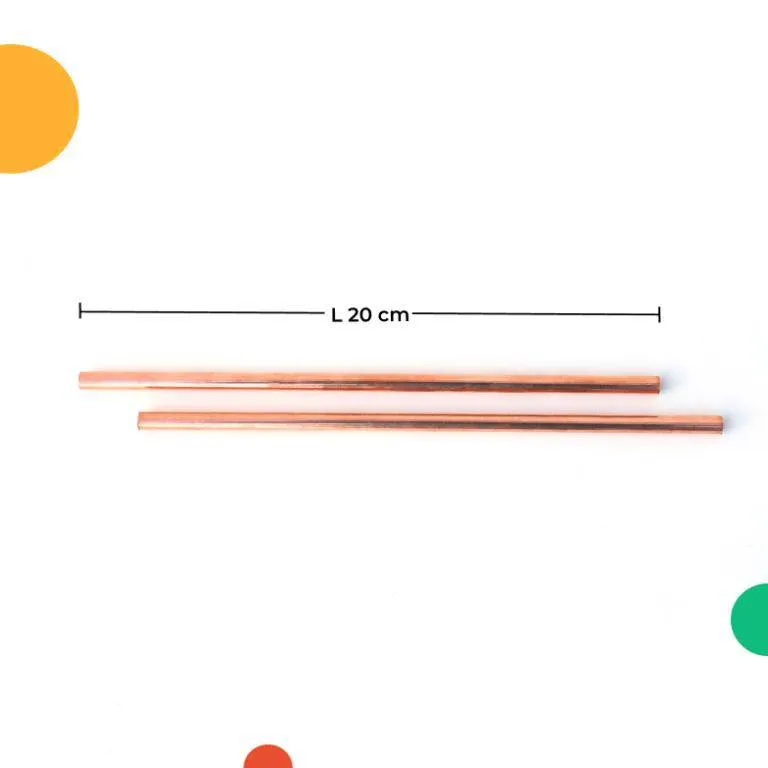 Travel Copper Straw Kit | 1 Straight & 1 Bent Copper Straw | 1 Straw Cleaner