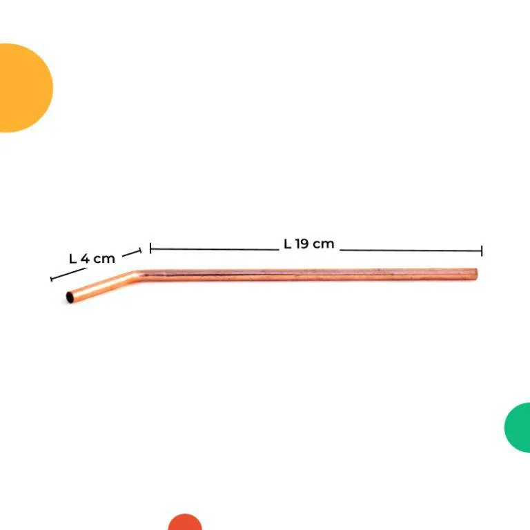 Travel Copper Straw Kit | 1 Straight & 1 Bent Copper Straw | 1 Straw Cleaner