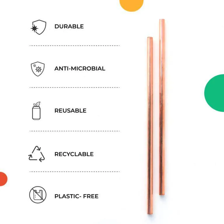Travel Copper Straw Kit | 1 Straight & 1 Bent Copper Straw | 1 Straw Cleaner