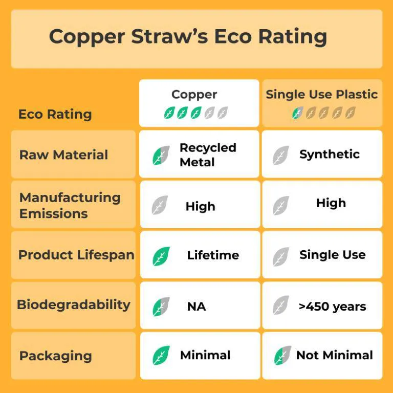Travel Copper Straw Kit | 1 Straight & 1 Bent Copper Straw | 1 Straw Cleaner